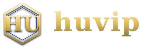 huvip logo
